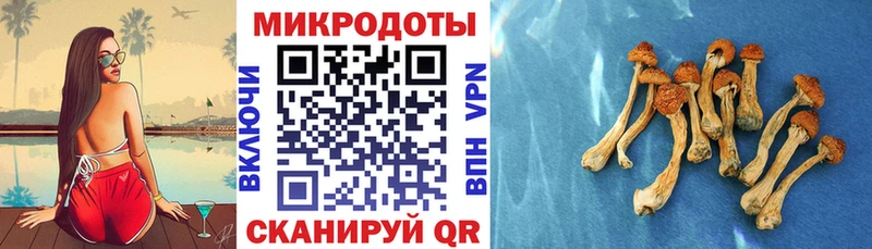 Псилоцибиновые грибы Psilocybine cubensis  мега ссылка  Туймазы 
