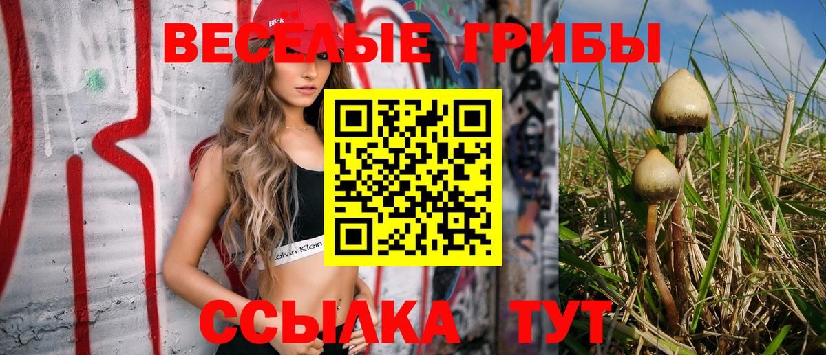 Туймазы  дарнет шоп  Вход с VPN  Псилоцибиновые грибы Magic Shrooms 