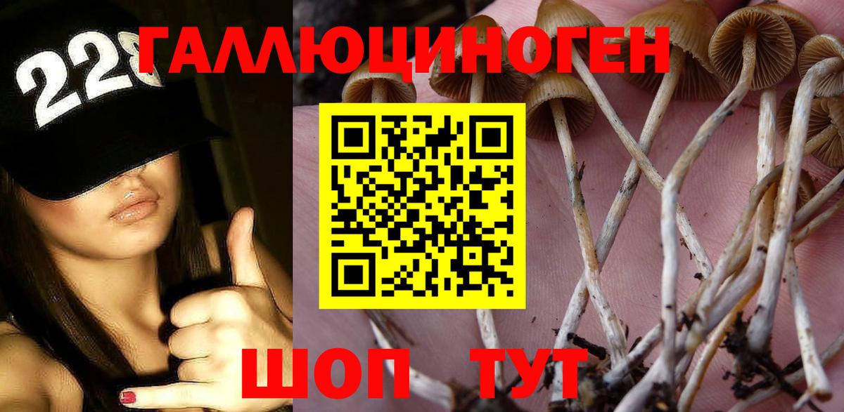 Псилоцибиновые грибы Psilocybine cubensis  Псилоцибиновые грибы Cubensis  где найти наркотики  Туймазы 